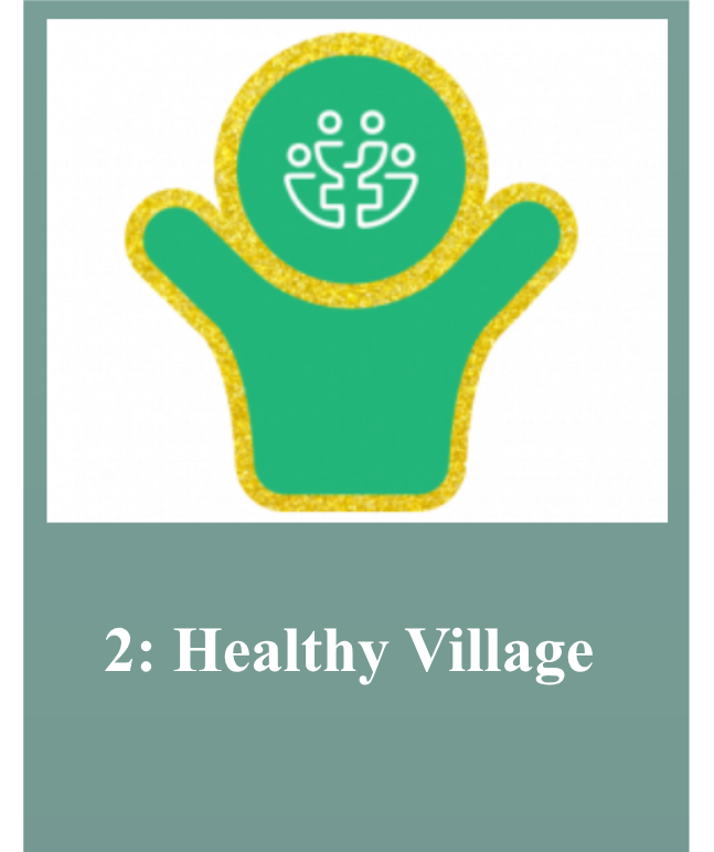 Healthy Village LSDG